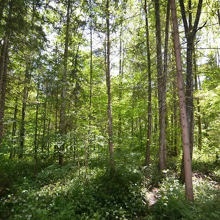 Ferienhaus Im Berchtesgadener Land Schönau am Königssee